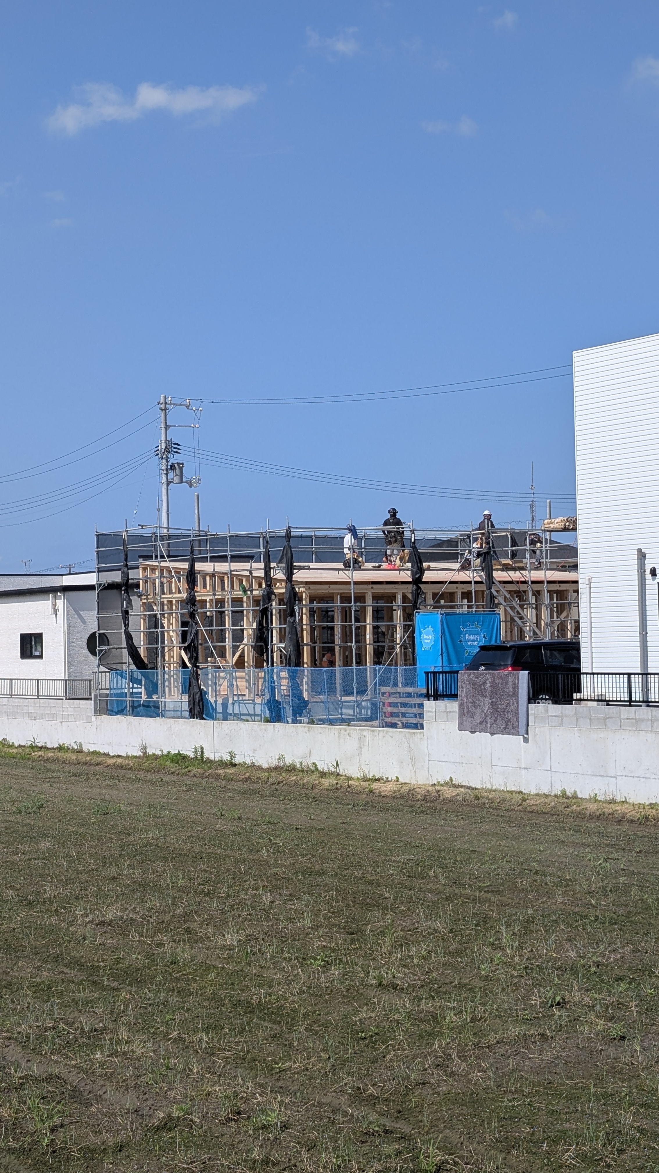 PXL_20250617_054550425.jpg
